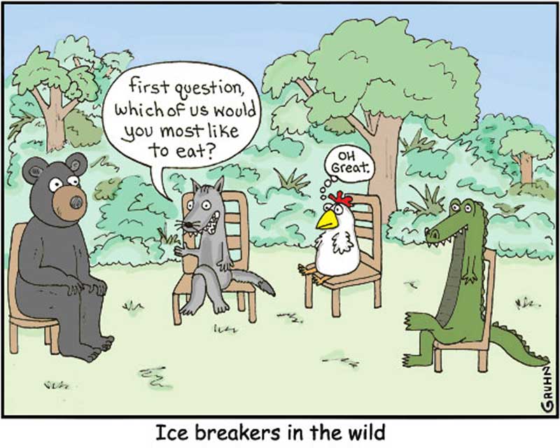 Ice Breakers in the Wild